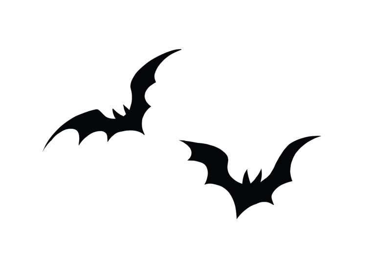 black-silhouettes-of-bats-on-a-white-background