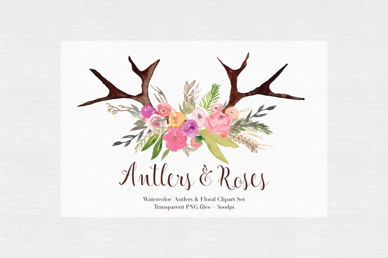 antlers-and-roses-watercolor-clipart