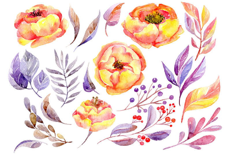 watercolor-yellow-and-violet-flowers-peony-roses