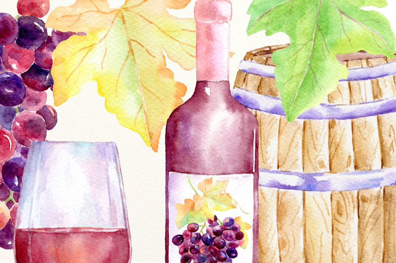 watercolor-rouge-grapes-and-wine