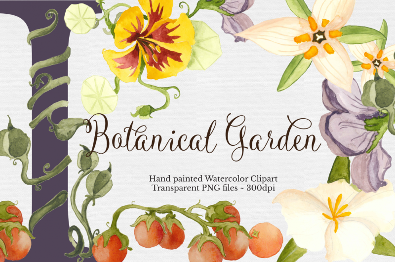 botanical-watercolor-set