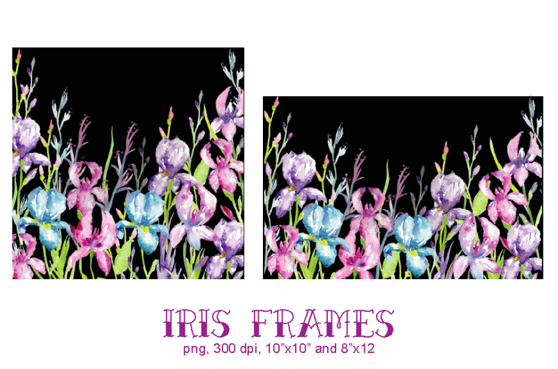 watercolor-clipart-iris
