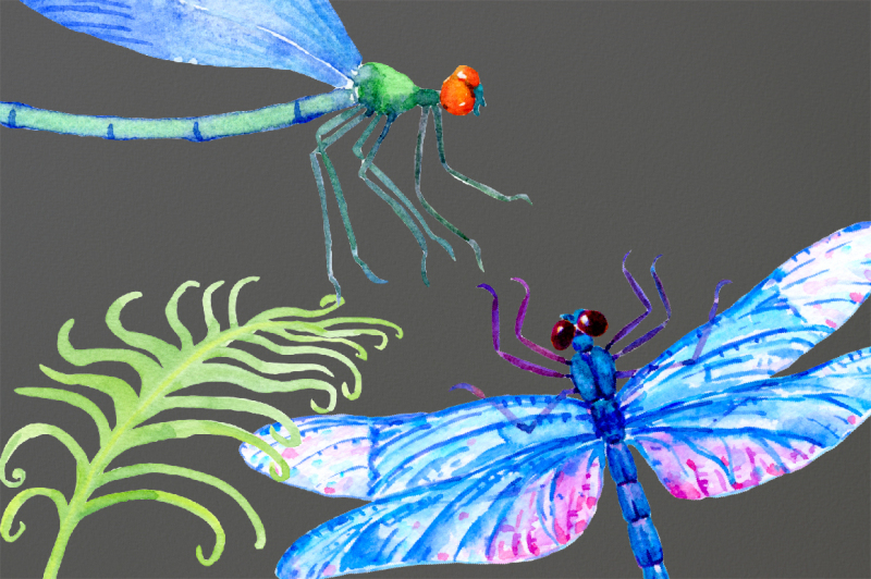 watercolor-dragonfly-damselfly