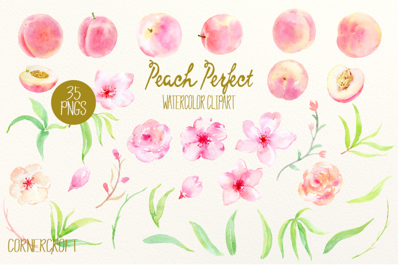 watercolor-clipart-peach-perfect