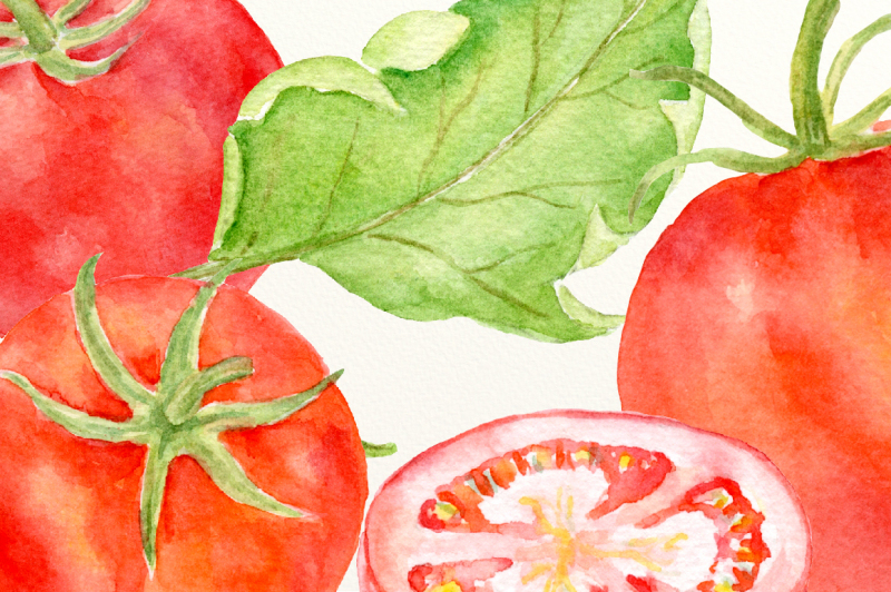 watercolor-red-tomatoes
