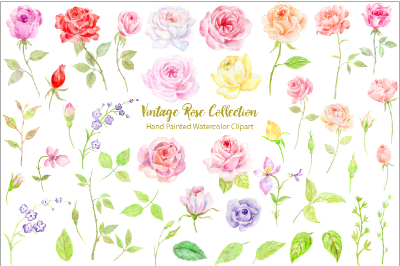 watercolor-vintage-rose-bundle