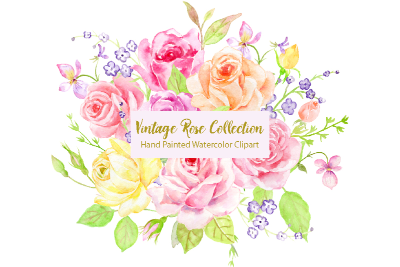 watercolor-vintage-rose-bundle