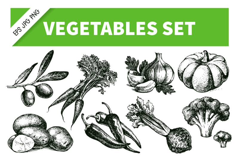 vegetables-hand-drawn-sketch-vector-set-3