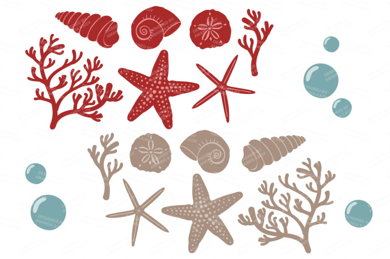 seashore-shells-and-coral-clipart-in-americana