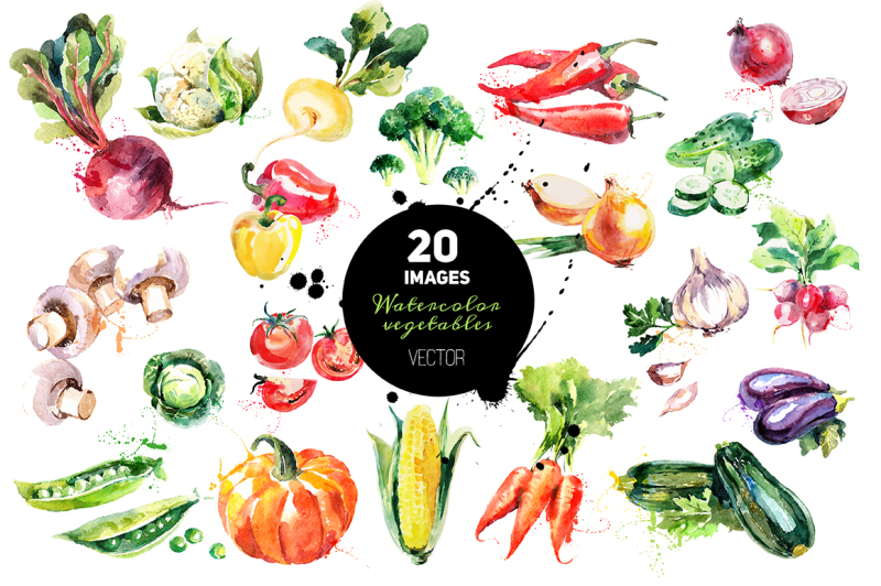20-watercolor-vegetables-vector-set