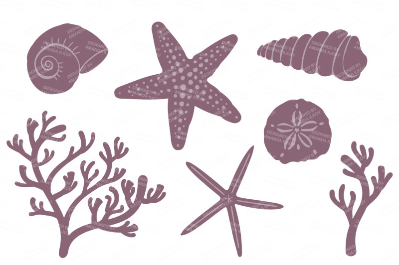 seashore-shells-and-coral-clipart-in-buff