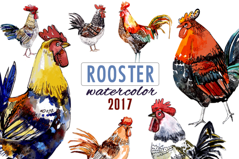 set-of-roosters-watercolor-rooster-symbol-of-2017-year