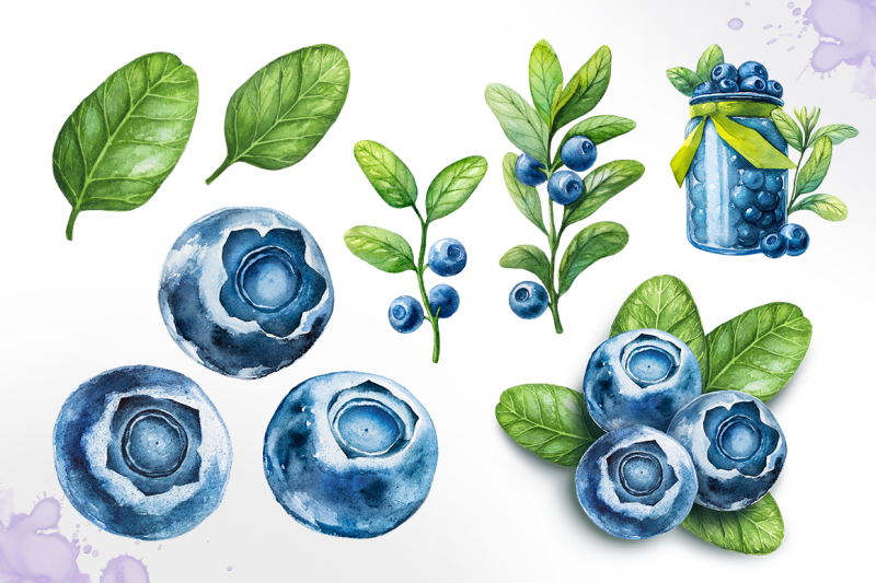 watercolor-blueberry