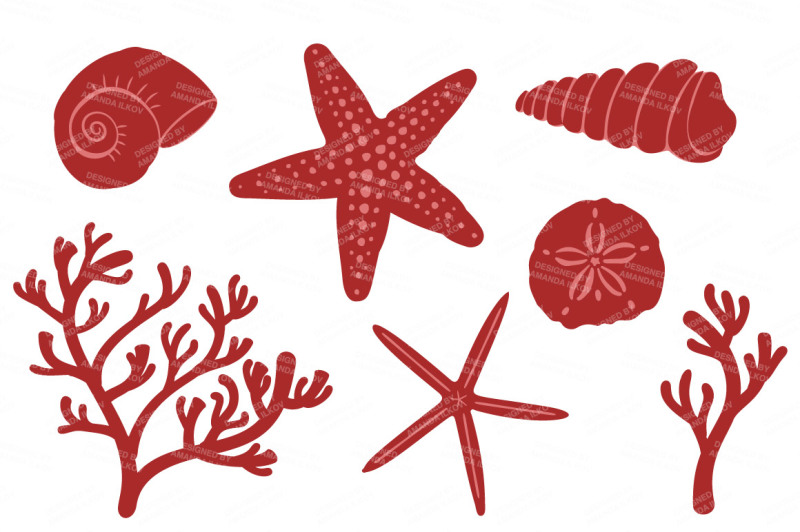 seashore-shells-and-coral-clipart-in-christmas