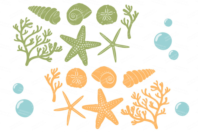seashore-shells-and-coral-clipart-in-crocus
