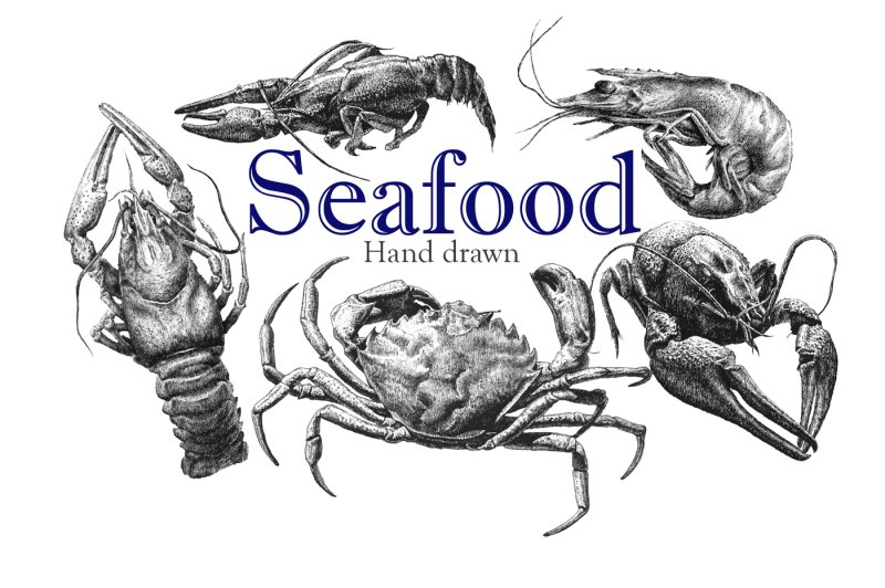 seafood-hand-drawn