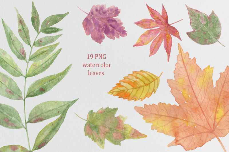 autumn-leaf-fall-watercolor