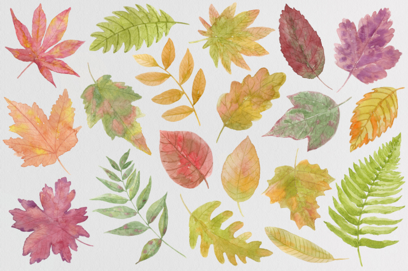 autumn-leaf-fall-watercolor