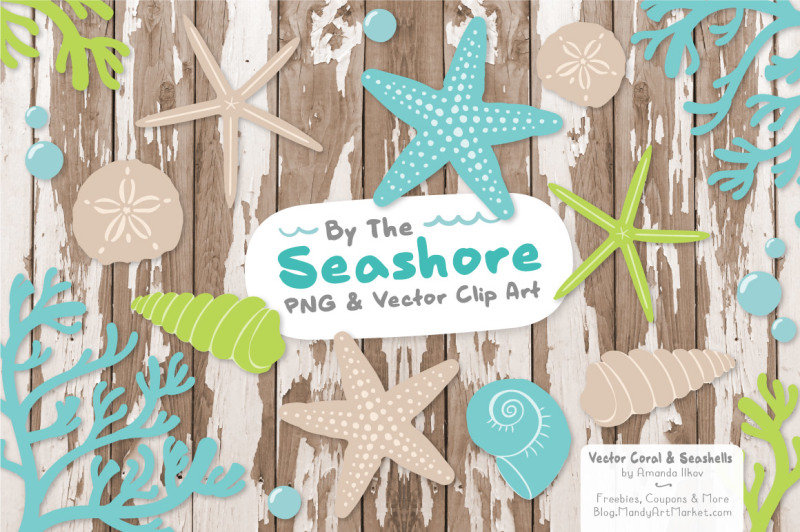 seashore-shells-and-coral-clipart-in-fresh-boy