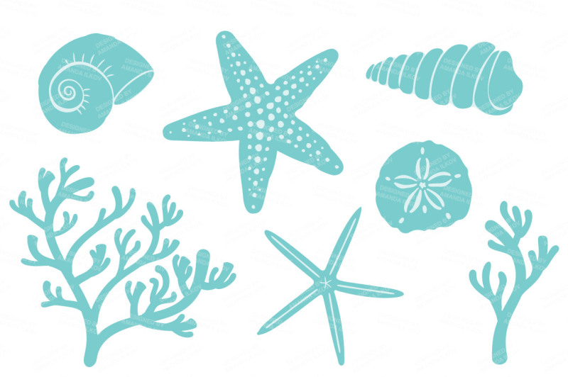 seashore-shells-and-coral-clipart-in-fresh-boy