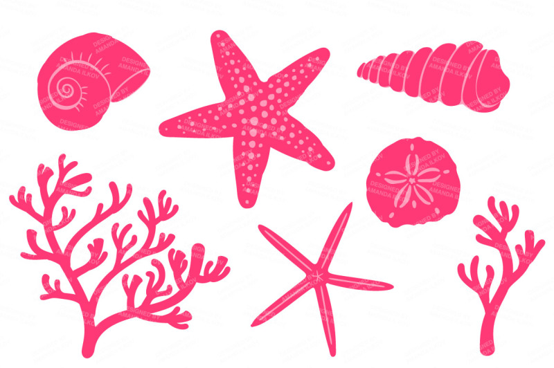 seashore-shells-and-coral-clipart-in-hot-pink