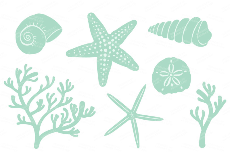 seashore-shells-and-coral-clipart-in-mint-and-peach