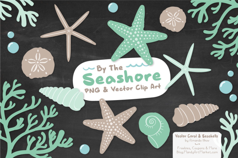 seashore-shells-and-coral-clipart-in-mint