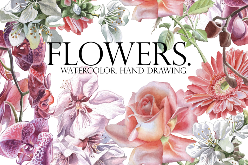 flowers-watercolor-hand-drawing