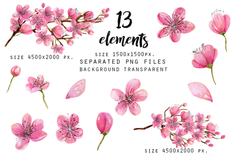 cherry-blossoms-watercolor-clip-art-collection