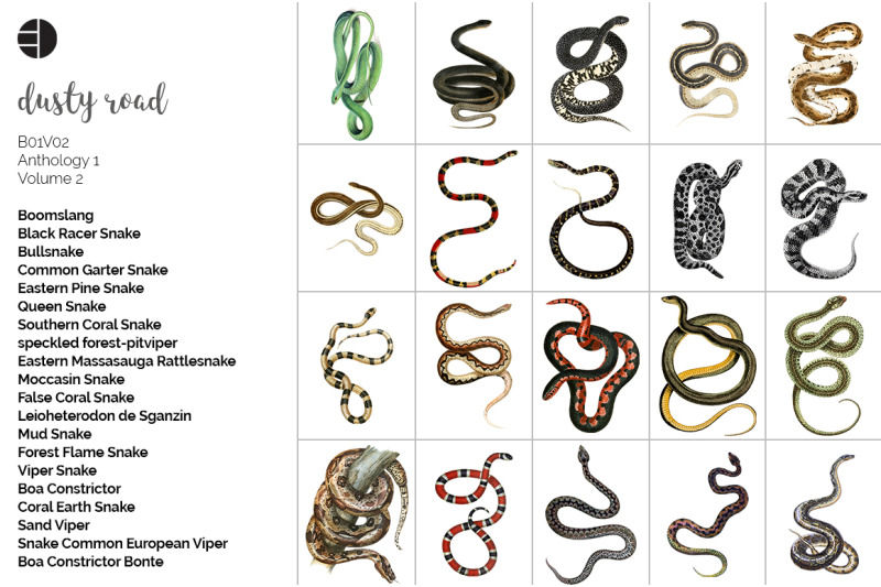 snake-clipart-bundle