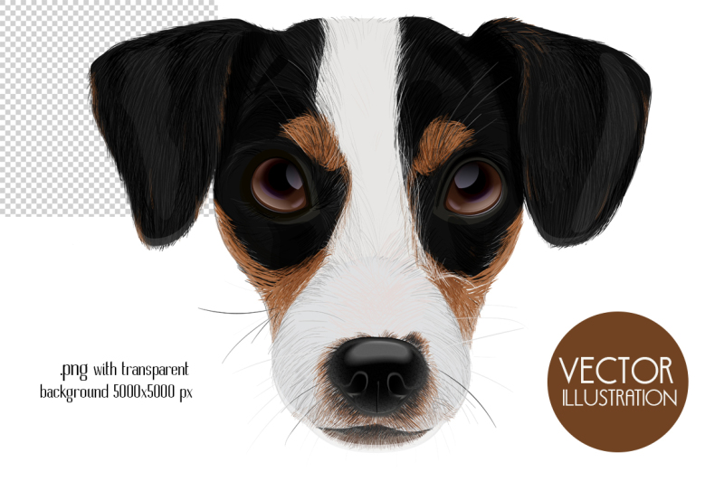 dog-portraits-vector-illustrations