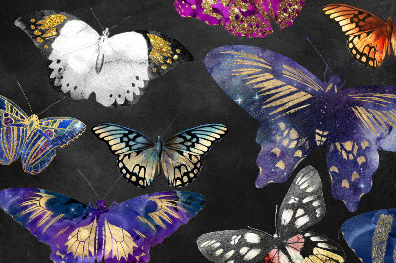 painted-butterflies-clipart