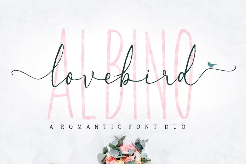 albino-lovebird-font-duo