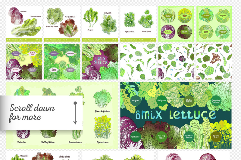 watercolor-lettuche-set-and-letter-set