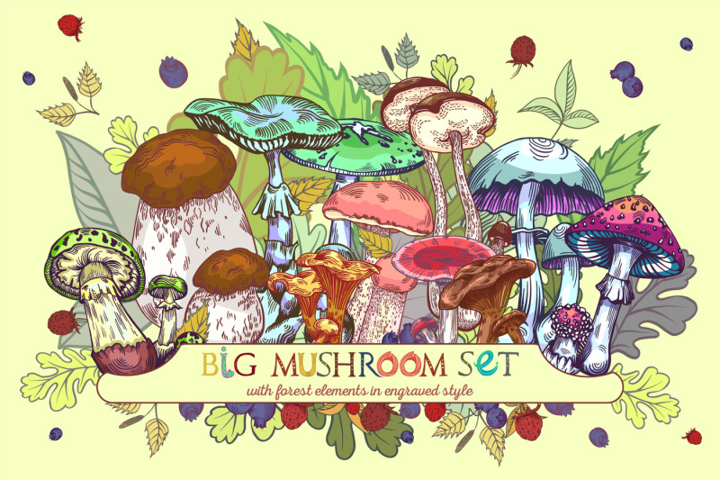 wild-forest-mushrooms-set