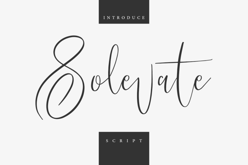 solevate-typeface