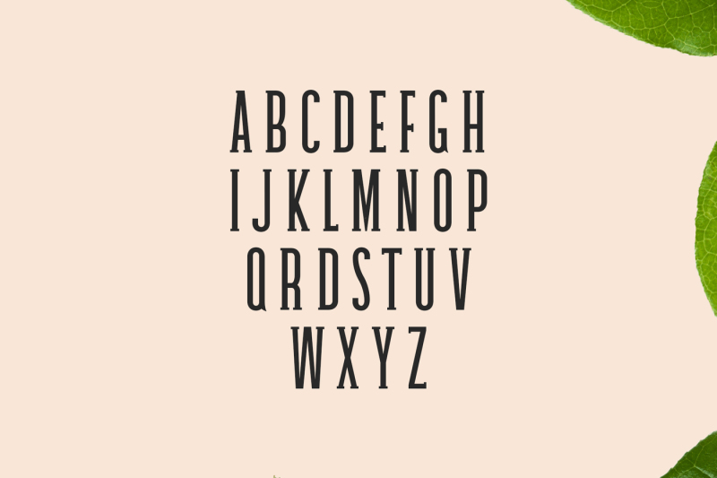 galvin-slab-serif-font-family-pack
