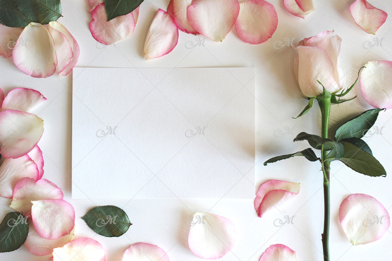 rose-and-petals-card-mockup-psd-jpg
