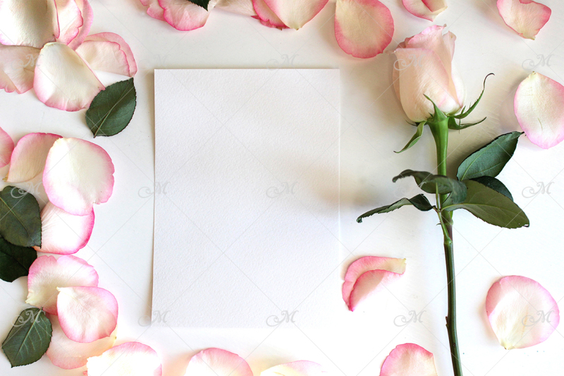 rose-and-petals-card-mockup-psd-jpg