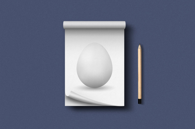 vector-realistic-egg-with-shadow