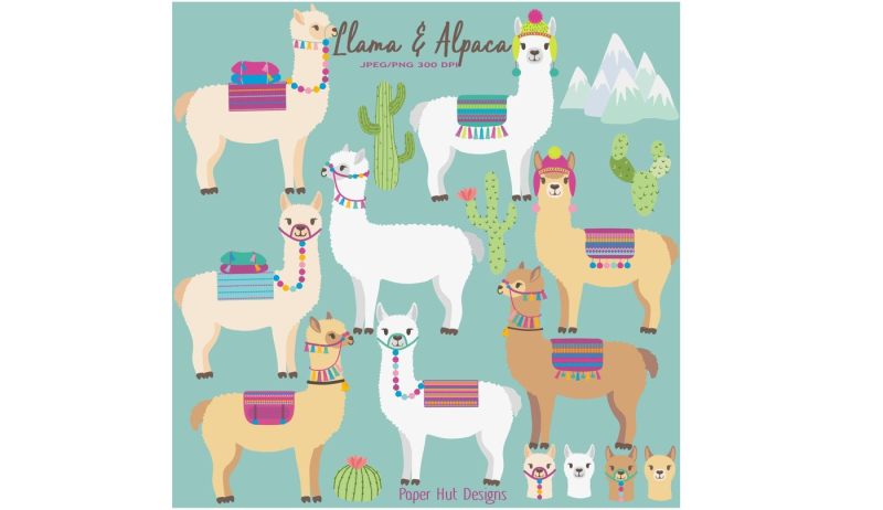 llama-and-alpaca-clipart