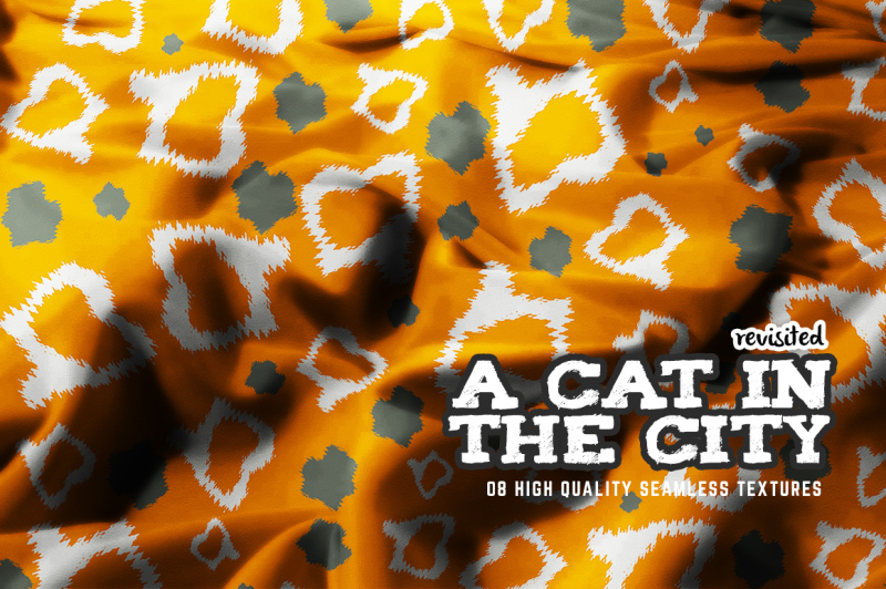 a-cat-in-the-city-revisited