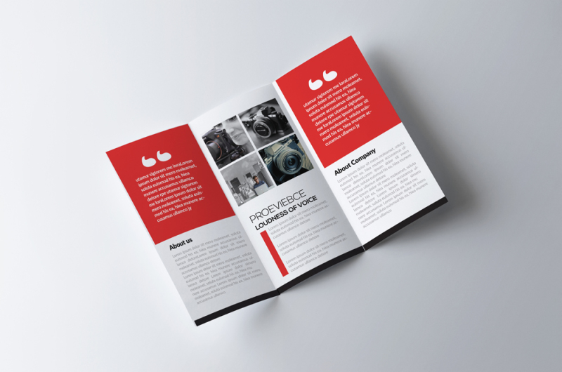 business-and-corporate-tri-folds-brochures