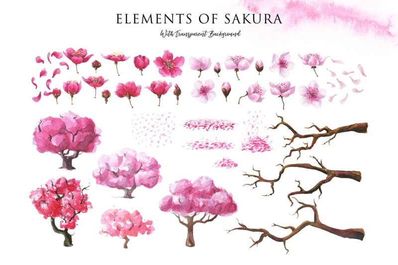 pink-dreams-of-sakura-watercolor-set