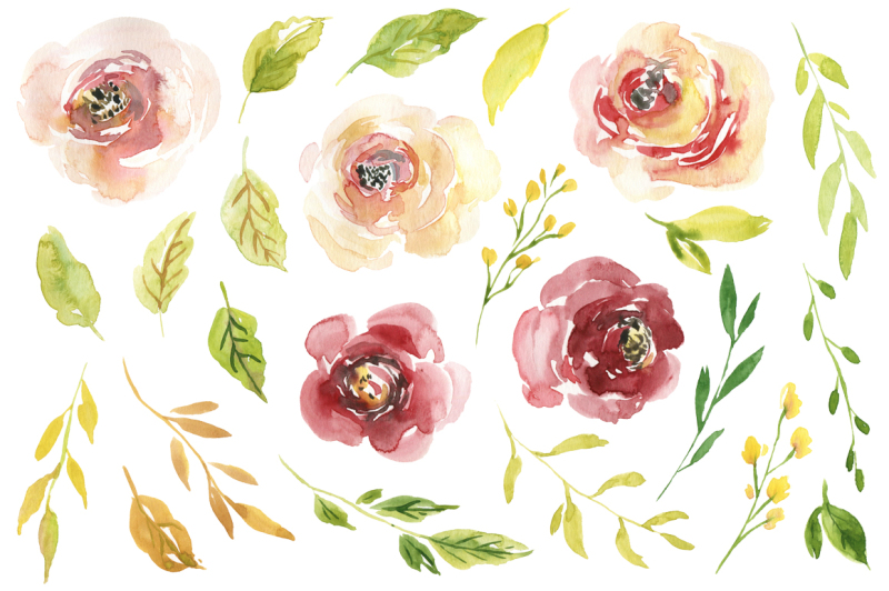 watercolor-burgundy-and-creamy-flowers