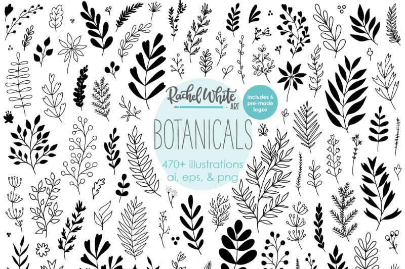 botanicals-vector-illustrations