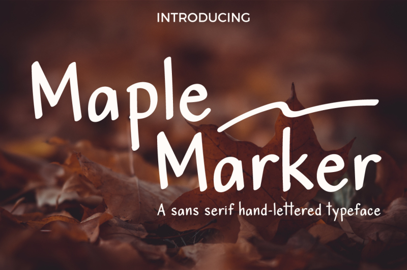 maple-marker-sans-serif-font