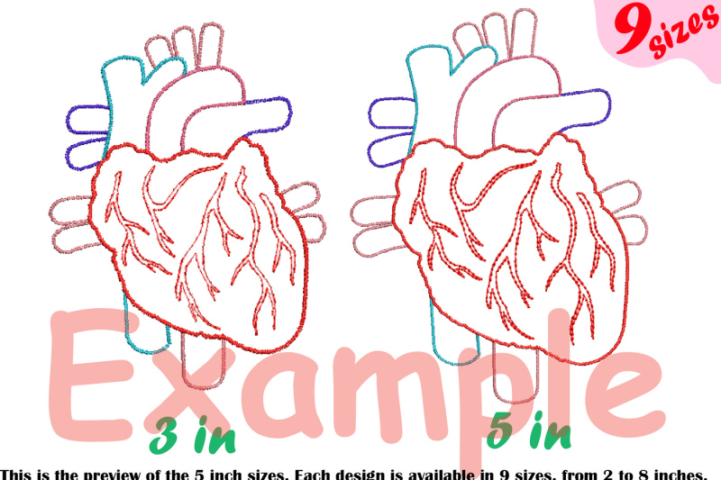 heart-outline-embroidery-design-biology-medic-organs-anatomy-202b