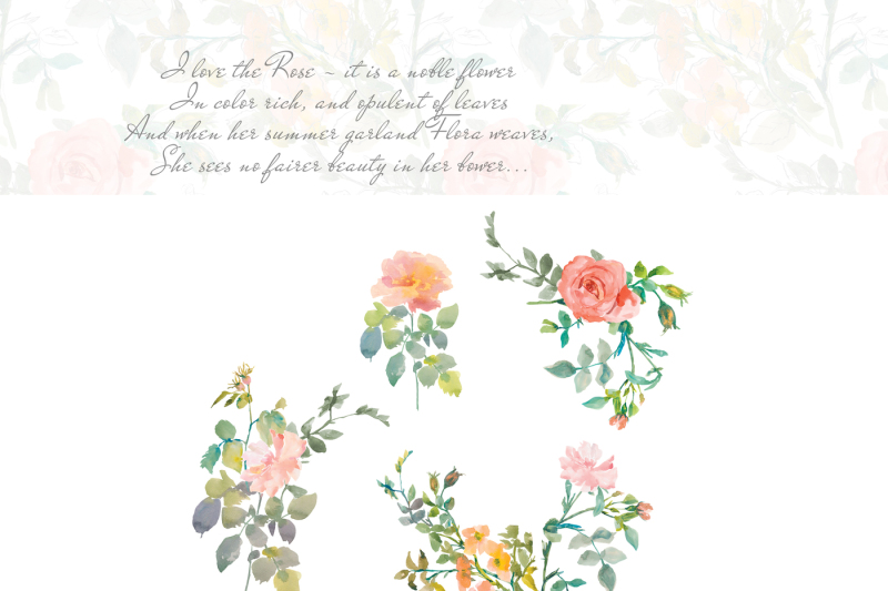 Watercolor Subtle Pastel Rose Clipart Sketch Style Florals Clipart Sea ...