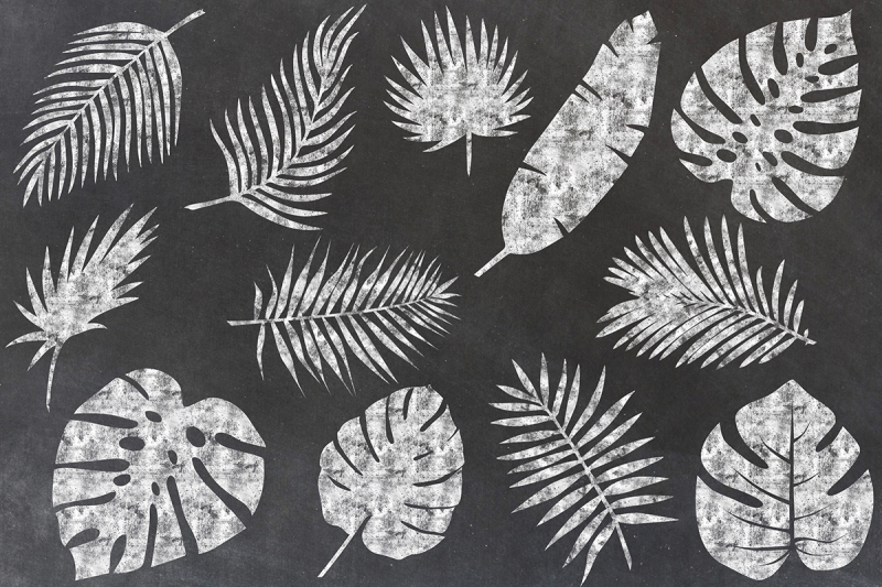 chalkboard-palm-leaves